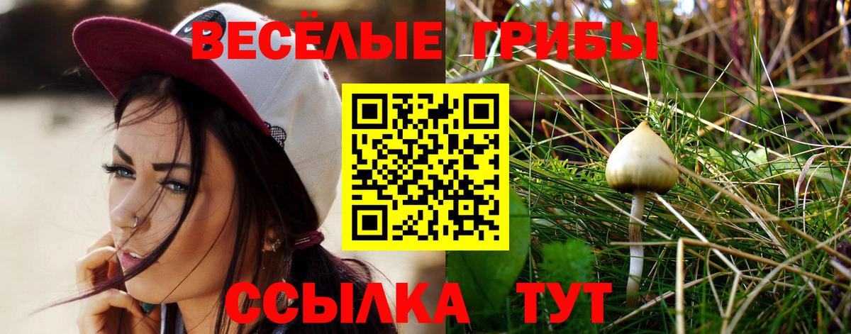 Псилоцибиновые грибы MAGIC MUSHROOMS Гуково